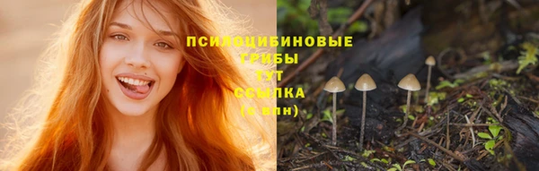 спиды Бронницы