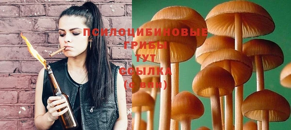 спайс Медвежьегорск