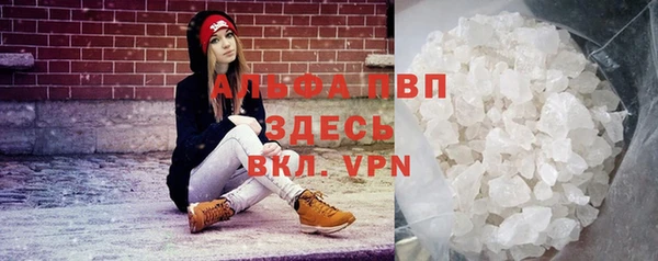 спиды Бронницы