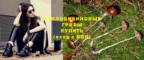 герыч Бородино