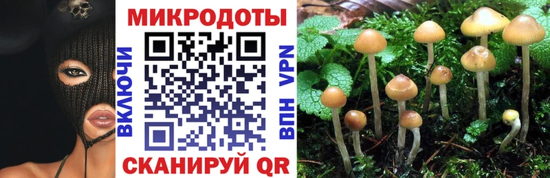 хочу   Ангарск  Псилоцибиновые грибы Cubensis 